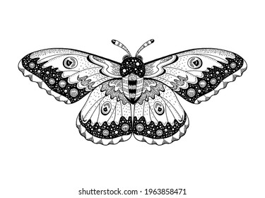 Moth tattoo. Butterfly vector black art. Universe wing moth. Celestial occult moon sketch. Line animal drawing design. 