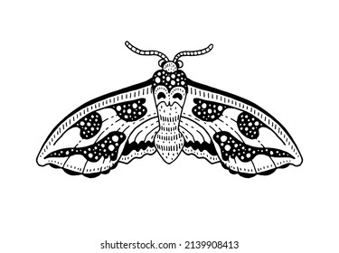 Moth tattoo. Butterfly vector black art. Universe wing moth. Celestial occult moon sketch. Line animal drawing design. Esoteric totem boho insect with space wings. Occult abstract astrology print