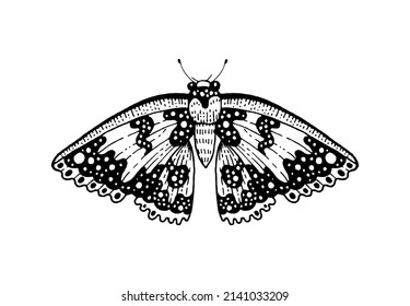 Moth tattoo. Butterfly vector black art. Universe wing moth. Celestial occult moon sketch. Line animal drawing design. Esoteric totem boho insect with space wings. Occult abstract astrology print
