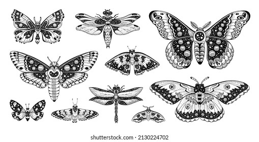 Moth tattoo set. Butterfly dragonfly vector black art. Universe wing moth. Celestial occult moon sketch. Line animal drawing design. Esoteric totem boho insect with space wings. Occult astrology print