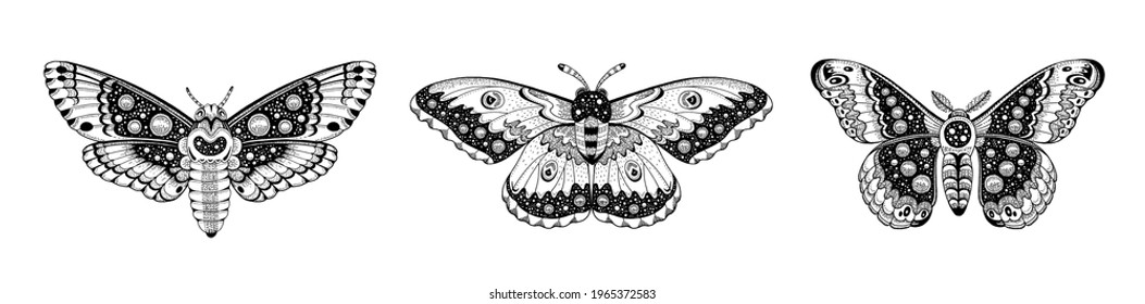 Moth tattoo set. Butterfly vector black art. Universe wing moth. Celestial occult moon sketch. Line animal drawing design. Different moth butterfly tattoo collection with galaxy butterfly wings