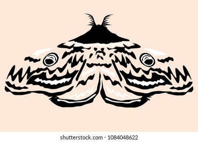 Moth vector illustration