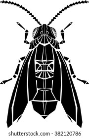 Moth vector illustration