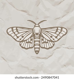 Moth vector illustration. Celestial moth design on distressed paper in vintage engraving style.