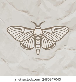 Moth vector illustration. Celestial moth design on distressed paper in vintage engraving style.