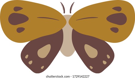 Moth vector illustration, vector element.