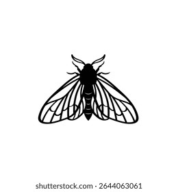 Moth vector Image, Moth Symbol Linear Outline Vector, Black and White Moth Insect Vector Image.