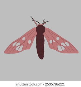 moth vector, Moths are insects that are closely related to butterflies and both belong to the Order Lepidoptera