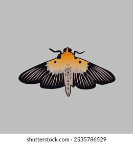 moth vector, Moths are insects that are closely related to butterflies and both belong to the Order Lepidoptera