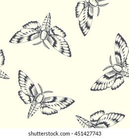 Moth. vector seamless pattern with hand drawn moths