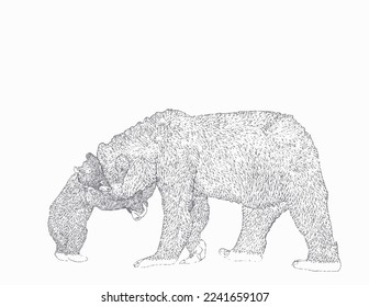 Mother and baby bear playing line art