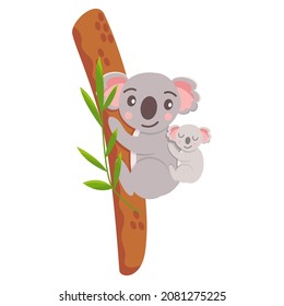Mother and baby koala bear hanging on eucaliptus tree. Sleeping baby. Branch with green leaves. Cartoon style. Funny and cute. Australian animal. For children post card, books, textile and poster