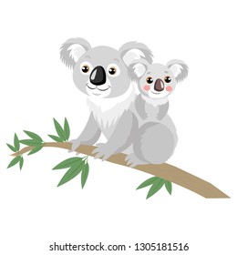 Mother And Baby Koala Bear On Wood Branch With Green Leaves. Australian Animal Funniest Koala Sitting On Eucalyptus Branch. 