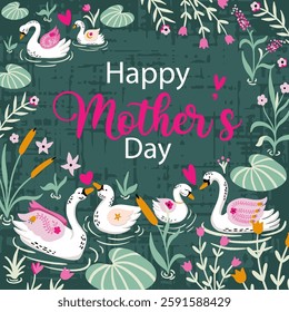 Mother and Baby Swan Vector Frame Background