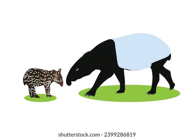 A Mother and Baby Tapir, Vector Illustration of Tapir animal bundle. Image For Animals Design