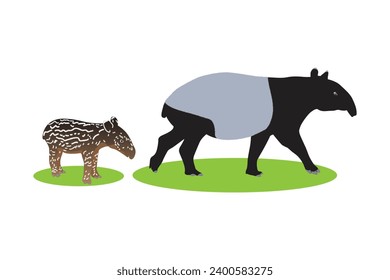 A Mother and Baby Tapir, Vector Illustration of Tapir animal bundle. Image For Animals Design