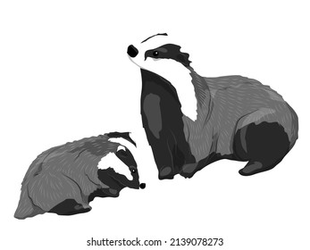 Mother badger and her cub. Forest wild animals of Europe. vector animals