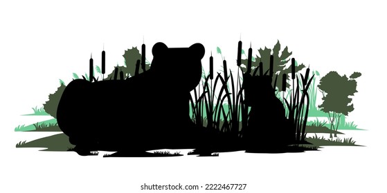 Mother bear with cub. Wild animals. Glade in swamp. Grass and reeds. Silhouette figures. Isolated on white background. Vector.