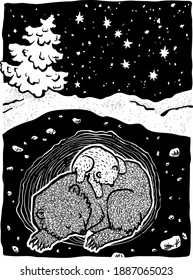 A mother bear sleeps in a den with a bear cub in winter. The constellation Ursa Major in the night sky.
Black and white hand drawn illustration