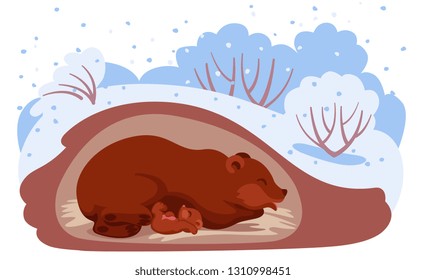 mother bear sleeps in winter in a den with her cub