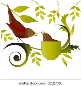 mother bird with baby bird