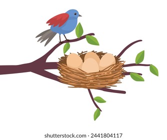 Mother bird and bird nest with eggs on the tree branch