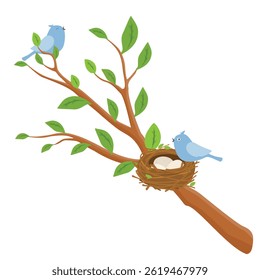 Mother bird and bird nest with three eggs on the tree branch isolated on white background. Vector