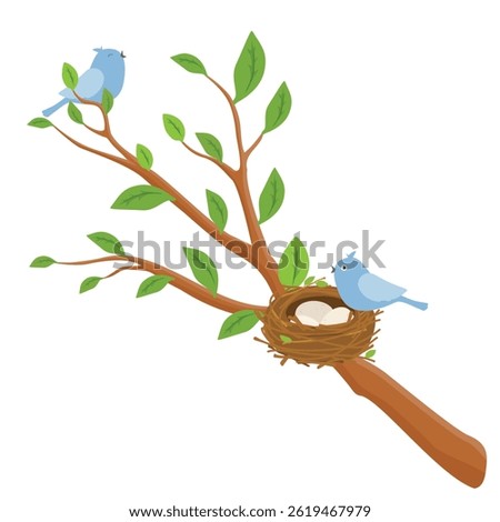 Mother bird and bird nest with three eggs on the tree branch isolated on white background. Vector