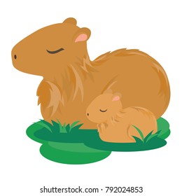 Mother Capybara and Baby