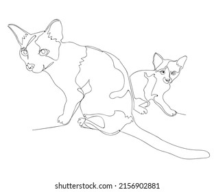Gato madre con el vector de bebé arte continuo de la línea de doodle para el fondo, páginas de coloreo, patrón, ilustración animal, ilustración de gatos, papel tapiz, arte clip, decoración, publicidad, logotipo, diseño gráfico.