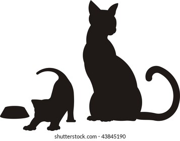 mother cat and kitten