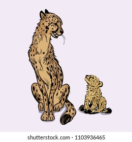 Mother cheetah is sitting with her cub. Hand drawn vector illustration isolated on pink background. Safari, savannah animals.