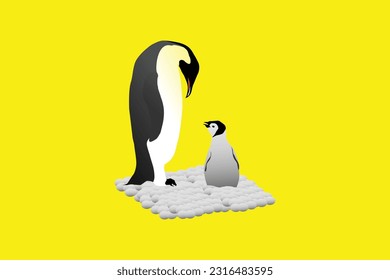 mother and childer penguins . mother advice her childern .