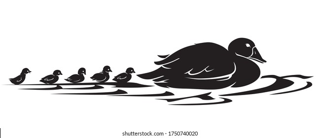 Mother and Cute Duckling on Water