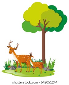 Mother deer and little fawn in forest illustration