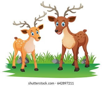 Mother deer and little fawn in the park illustration