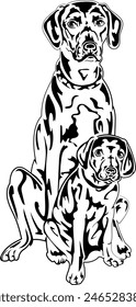 A mother dog sits with her puppy. Dogs, golden labrador retriever. Vector outline illustration without background