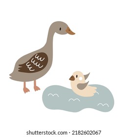 Mother duck and duckling in flat style. Vector illustration of a pet on a white background for your design.