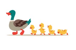 Mutter Ente Und Enten. Cute Baby Ducks Laufen In Reihe. Cartoon, Vektorgrafik. Enten Muttertier Und Familienente