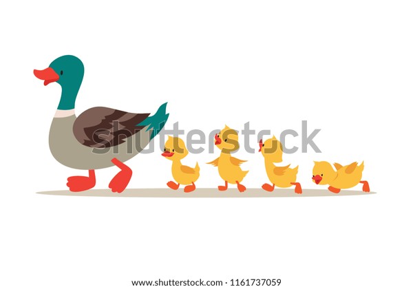 Mother duck and ducklings. Cute baby ducks\
walking in row. Cartoon vector illustration. Duck mother animal and\
family duckling