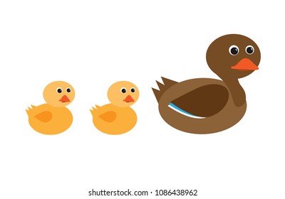 mother duck and ducklings in a row vector characters isolated on white background