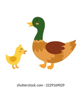 Mother duck with her baby duckling. Cute farm animal characters - mom and her child. Mother Day print for kids. Vector illustration