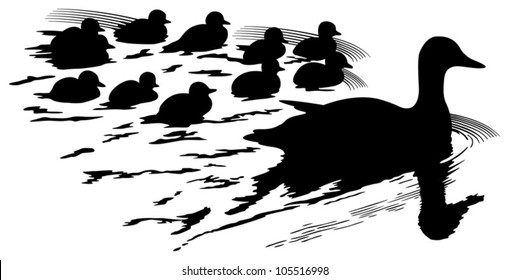 Mother duck with little ducklings swimming - vector silhouette