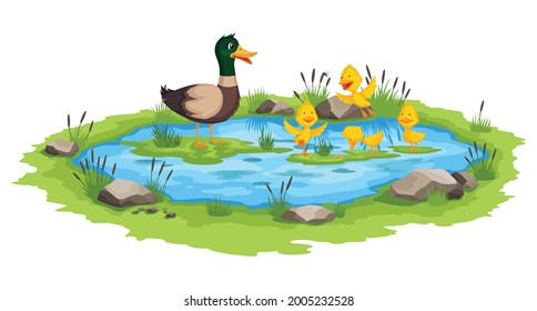 Mother duck and little ducklings swims on the water in pond. Cartoon wild bird with cute yellow babies. Duck family cartoon vector illustration