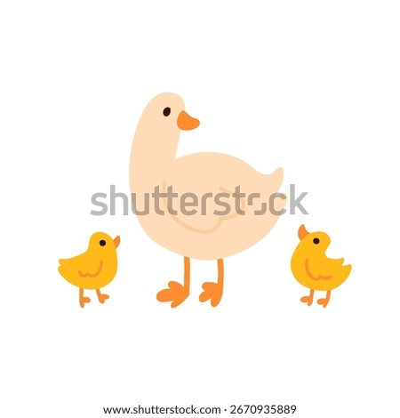Mother duck standing with two ducklings simple flat illustration isolated on white. Domestic birds with orange beaks and legs. Great for kids content, nursery prints, farm and animal themes