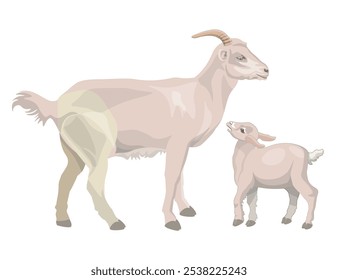 Mother goat with baby. Farm animals. Nanny and kid. Vector illustration isolated on a white background