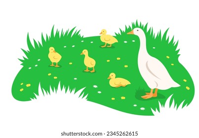 Mother goose and her little cute goslings in different poses grazing in the green meadow. Simple flat illustration