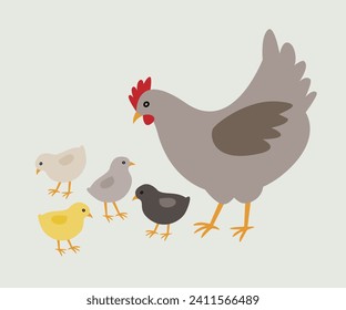 Mother hen with baby chicks.