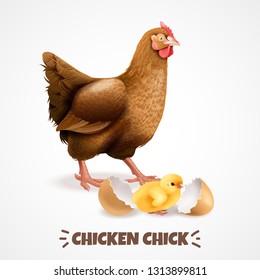 Mother hen with newly hatched chick with eggshell closeup realistic chicken life cycle element poster vector illustration