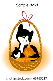 mother with kittens in the basket  6